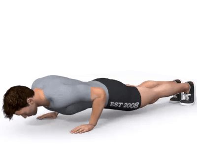 2. Pushups