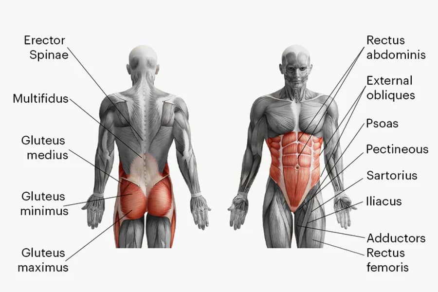 Do they engage the body similarly? 

**Overview:** This section goes beyond the basics, providing a clear understanding of the topic along with practical ways to approach it. We cover purpose, relevance, and how it can be adapted for different needs. 

**Step-by-Step Guidance:** Detailed instructions that break down the process into manageable actions. Includes cues for correct posture, breathing, and adjustments for various fitness levels. 

**Benefits and Considerations:** Insights into how this exercise or concept may support strength, flexibility, endurance, or mental well-being, without making absolute promises. Addresses common mistakes and how to avoid them. 

**Tips for Best Results:** Suggestions on frequency, form, and combining with complementary exercises or practices for a more rounded routine. 

**Variations:** Ideas to modify or intensify the practice, making it suitable for beginners through advanced practitioners. 

**Background and Context:** Where relevant, a brief note on historical or cultural significance, showing how the practice has evolved and been embraced in different settings. 

**Encouragement:** A motivating close that reminds readers improvement comes with patience and consistency, encouraging them to enjoy the process.