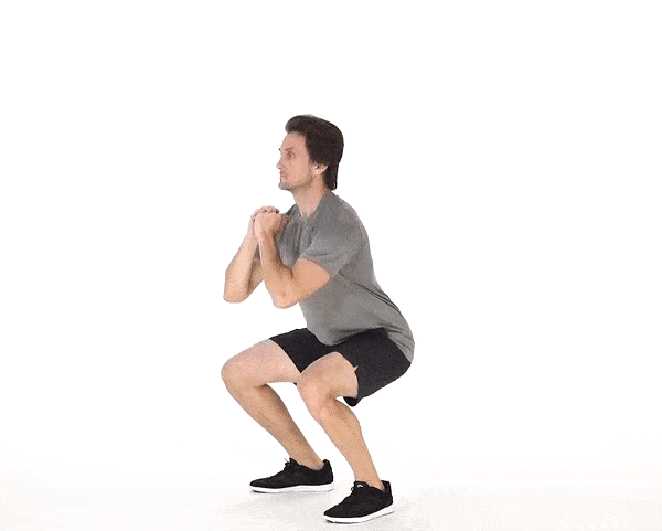 **Pulse Squats**