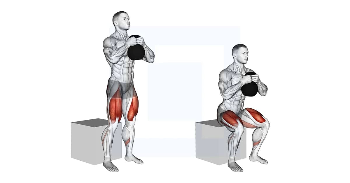 **Box Squats**