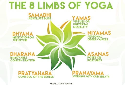 **Scientific Perspectives on the 8 Limbs 

**Overview:** This section goes beyond the basics, providing a clear understanding of the topic along with practical ways to approach it. We cover purpose, relevance, and how it can be adapted for different needs. 

**Step-by-Step Guidance:** Detailed instructions that break down the process into manageable actions. Includes cues for correct posture, breathing, and adjustments for various fitness levels. 

**Benefits and Considerations:** Insights into how this exercise or concept may support strength, flexibility, endurance, or mental well-being, without making absolute promises. Addresses common mistakes and how to avoid them. 

**Tips for Best Results:** Suggestions on frequency, form, and combining with complementary exercises or practices for a more rounded routine. 

**Variations:** Ideas to modify or intensify the practice, making it suitable for beginners through advanced practitioners. 

**Background and Context:** Where relevant, a brief note on historical or cultural significance, showing how the practice has evolved and been embraced in different settings. 

**Encouragement:** A motivating close that reminds readers improvement comes with patience and consistency, encouraging them to enjoy the process.**