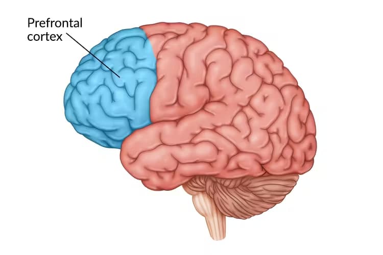 Enhancing Emotional Regulation