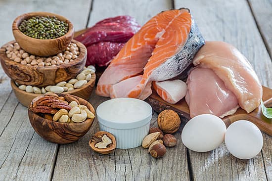 Proteins: The Body's Building Blocks